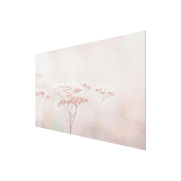 Tableaux muraux Pale Pink Wild Flowers