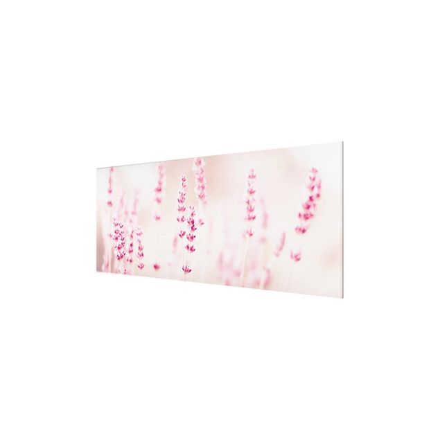 Tableau décoration Lavande rose pâle
