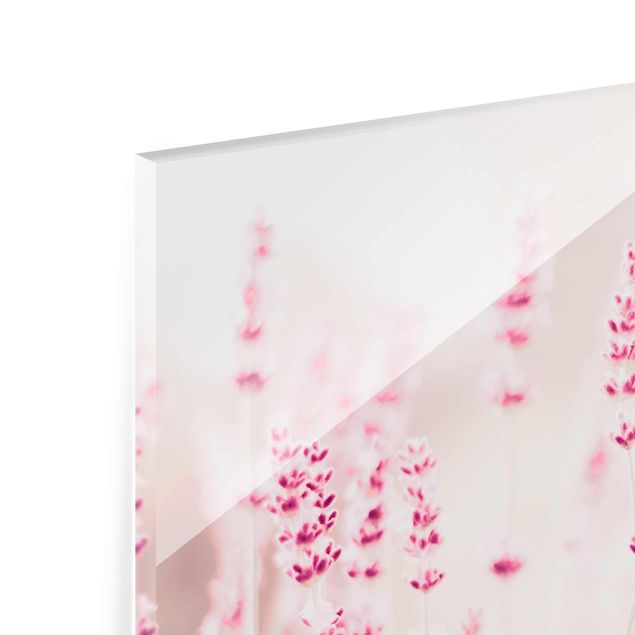 Tableaux en verre magnétique Lavande rose pâle