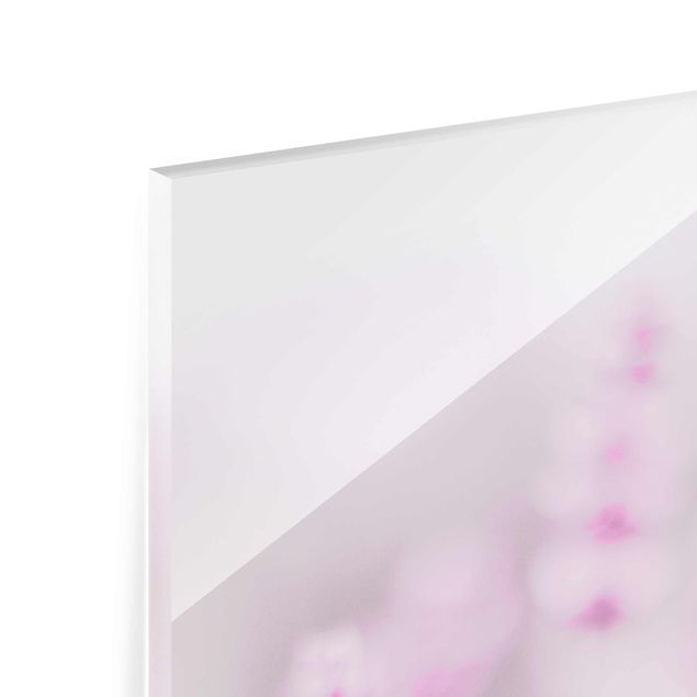 Tableaux en verre magnétique Lavande rose pâle