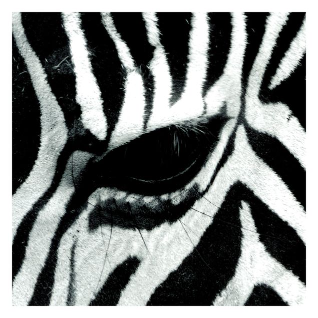 Papier peint animaux forêt Zebra Crossing