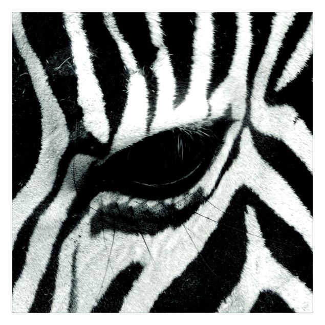 Papier peint animaux forêt Zebra Crossing