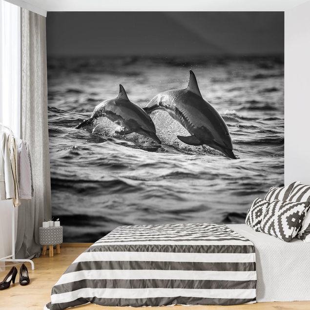 Papiers peints modernes Deux dauphins qui sautent