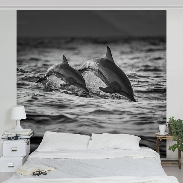 Papier peint panoramique noir et blanc Deux dauphins qui sautent
