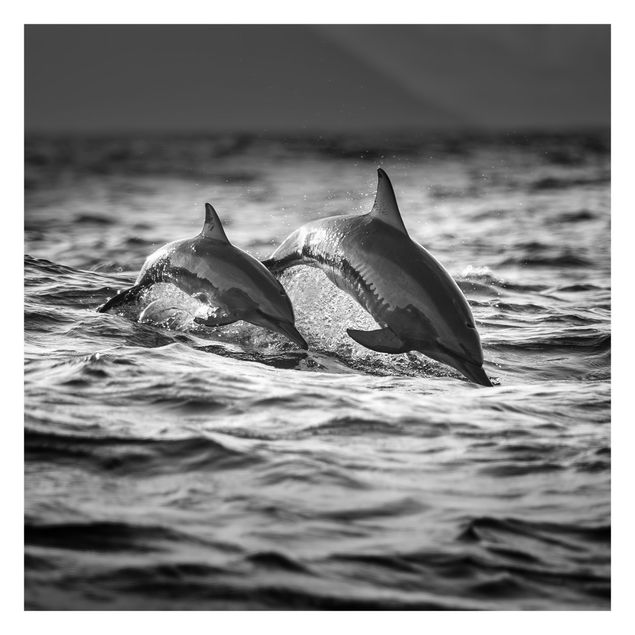 tapisserie panoramique Deux dauphins qui sautent