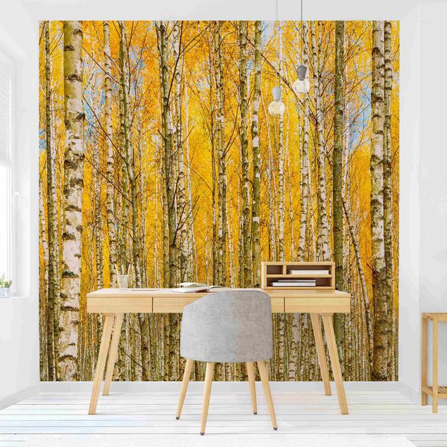 Papier peint panoramique paysage Between Yellow Birch Trees