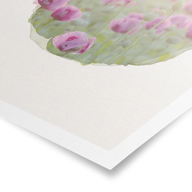 Poster fleurs Aquarelles - Champ de coquelicots violets au printemps