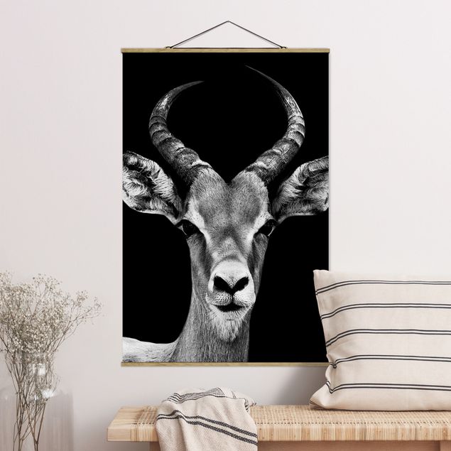 Décorations cuisine Antilope Impala noir et blanc