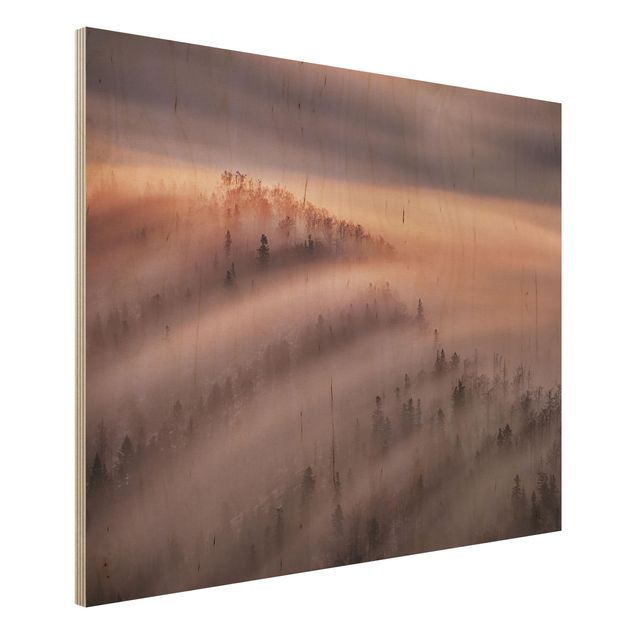 Tableaux en bois avec paysage Inondation de brouillard