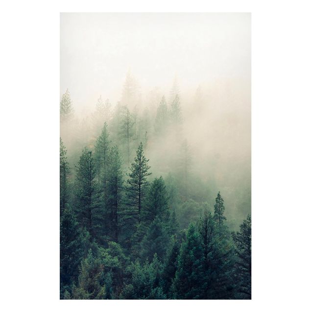 Tableau paysages Forêt Brumeuse Réveil