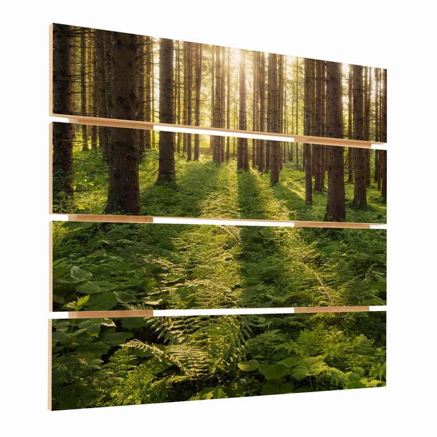 Tableaux bois Rayons de soleil dans une forêt verte