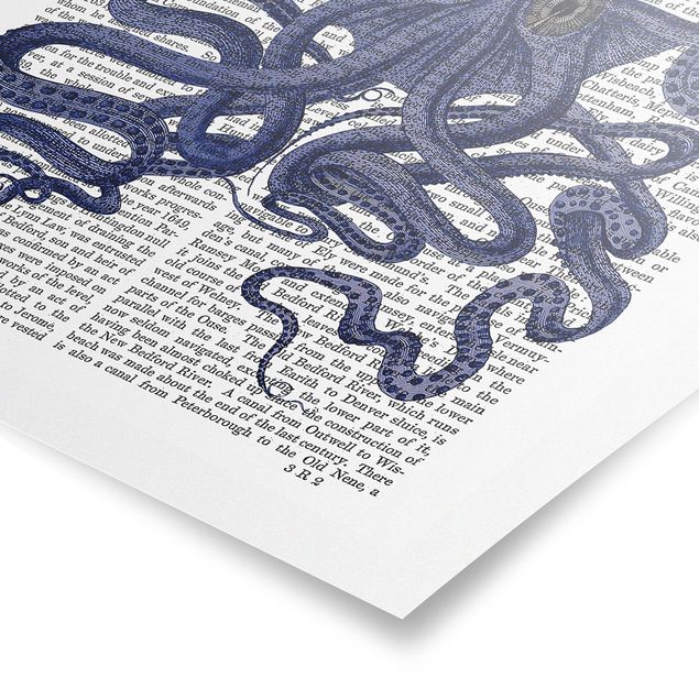 Tableau bleu Lecture des animaux - Octopus