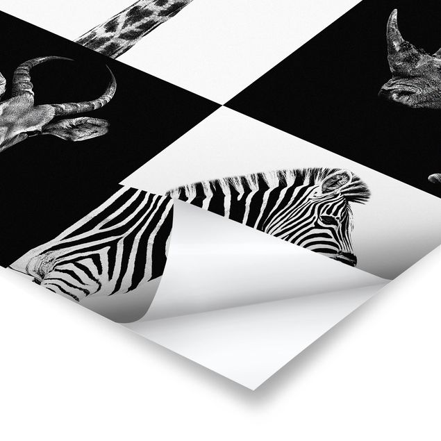 Tableaux animaux Quatuor Safari
