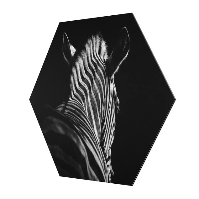 Tableaux muraux Silhouette de zèbre en noir et blanc