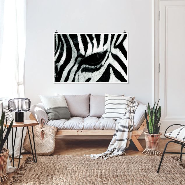 Posters en noir et blanc Zebra Crossing