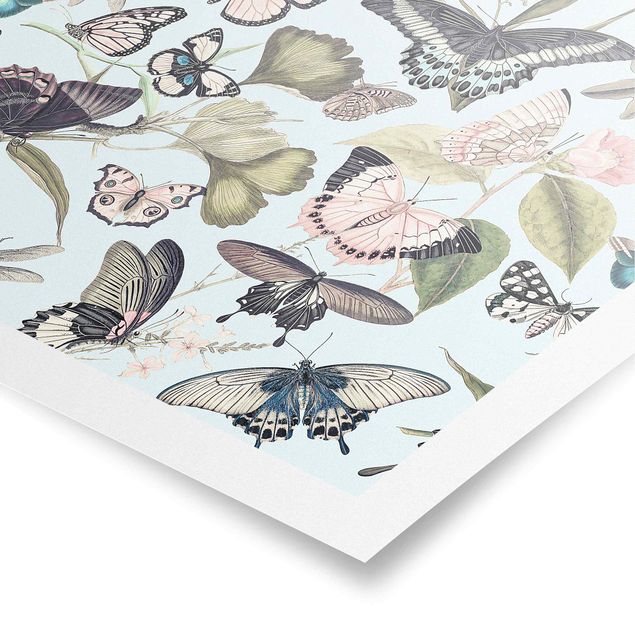 Tableau style vintage Collage Vintage - Papillons et Libellules