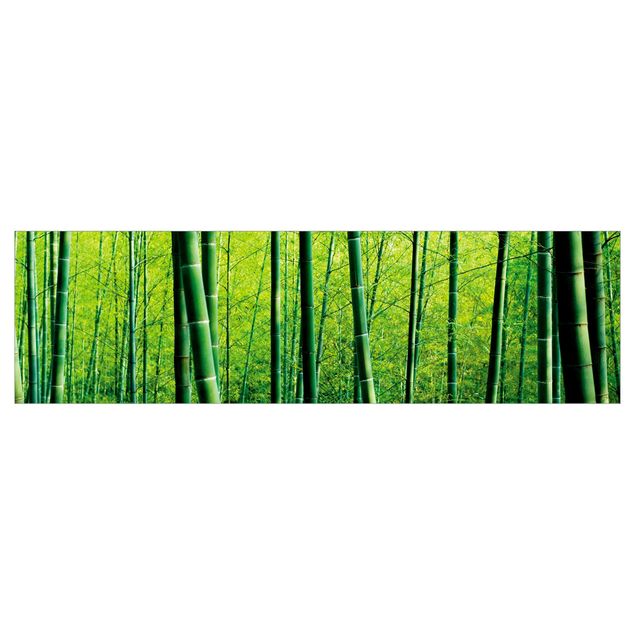 Revêtement mural cuisine - Bamboo Forest