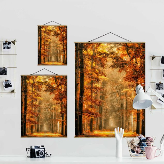 Tableaux orange Forêt enchantée en automne