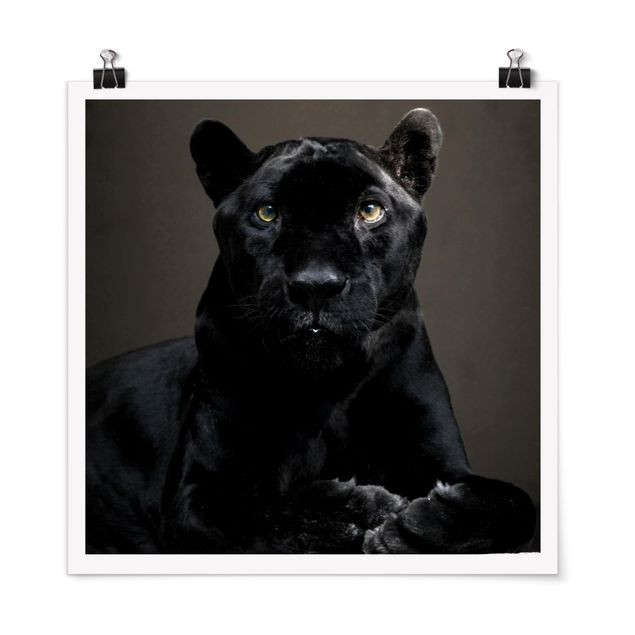 Tableau moderne Puma noir