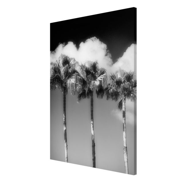 Tableaux magnétiques avec fleurs Palmiers Contre Le Ciel Noir Et Blanc
