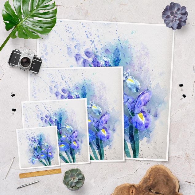 Posters muraux Aquarelle Fleurs Iris