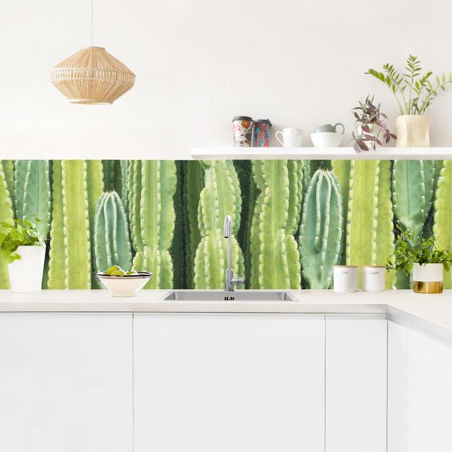 Crédence cuisine fleurs Mur de cactus