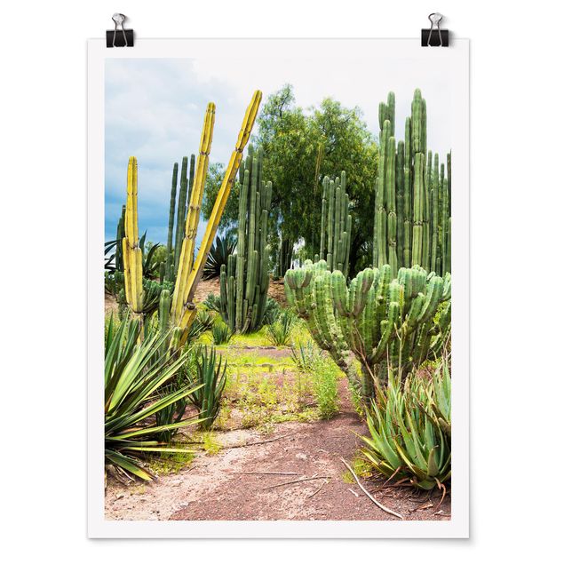 Tableau fleurs Paysage de cactus