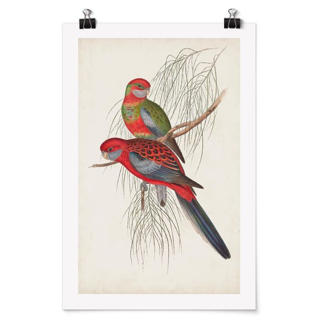 Tableaux animaux Tropical Parrot III