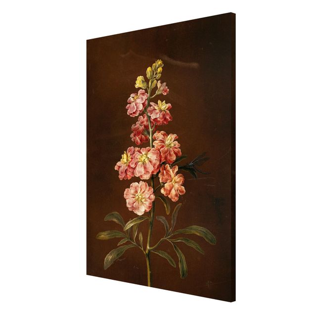 Tableaux magnétiques avec fleurs Barbara Regina Dietzsch - Une giroflée rose pâle
