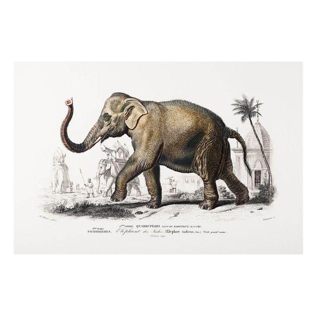 Tableaux paysage Tableau Vintage Éléphant