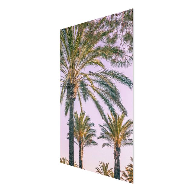 Tableau moderne Palmiers au coucher du soleil
