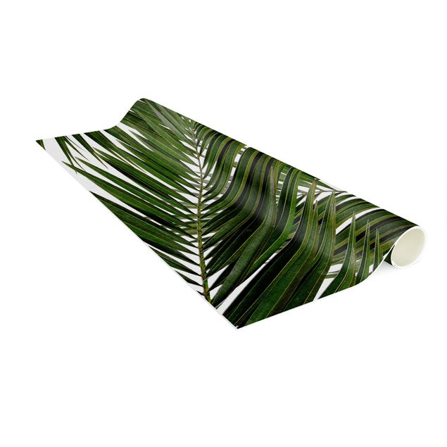 tapis modernes Vue à travers des feuilles de palmier vertes