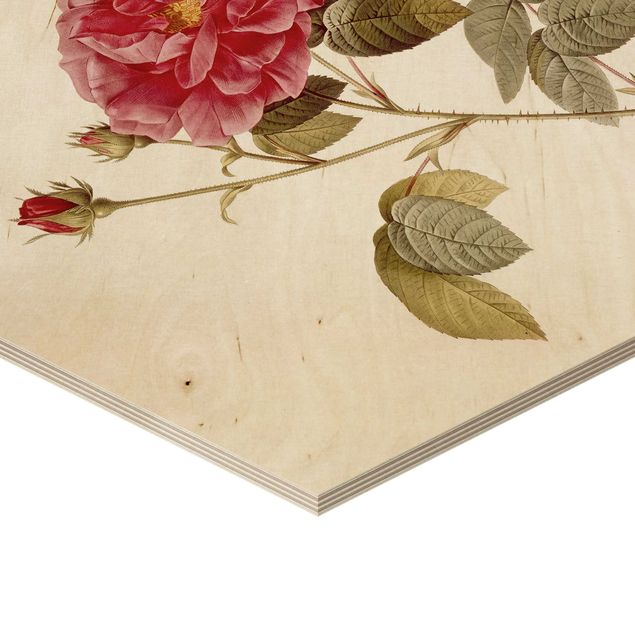 Tableaux en bois Pierre Joseph Redouté - Roses