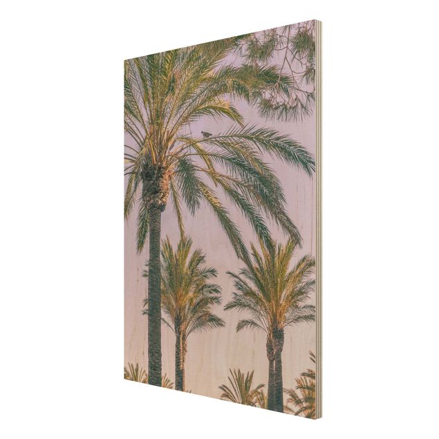 Tableaux en bois avec paysage Palmiers au coucher du soleil