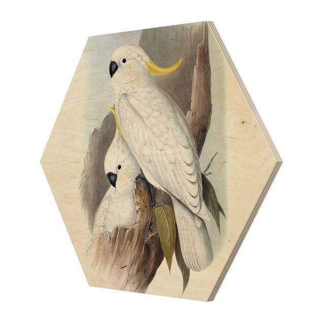 Hexagone en bois - Pastel Parrots III