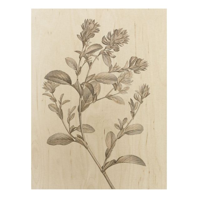 Tableaux en bois avec fleurs Étude botanique en sépia I