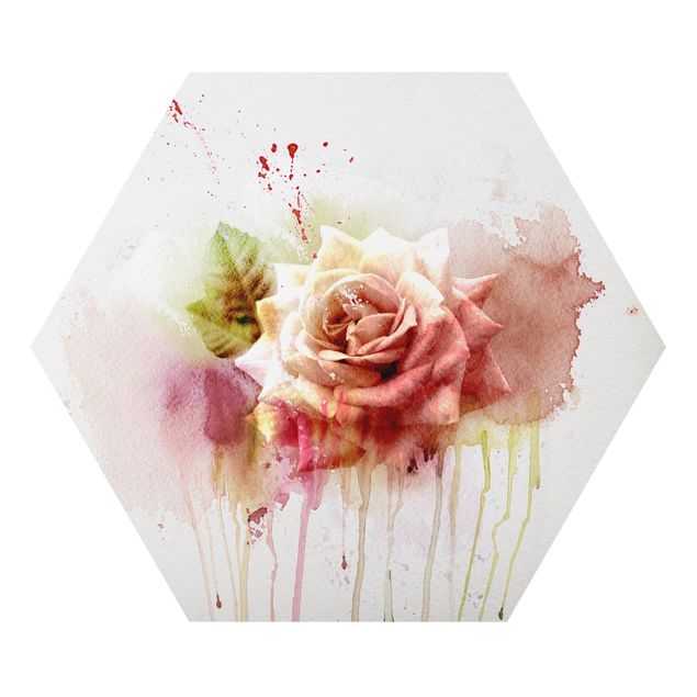 Tableaux rose Rose à l'aquarelle