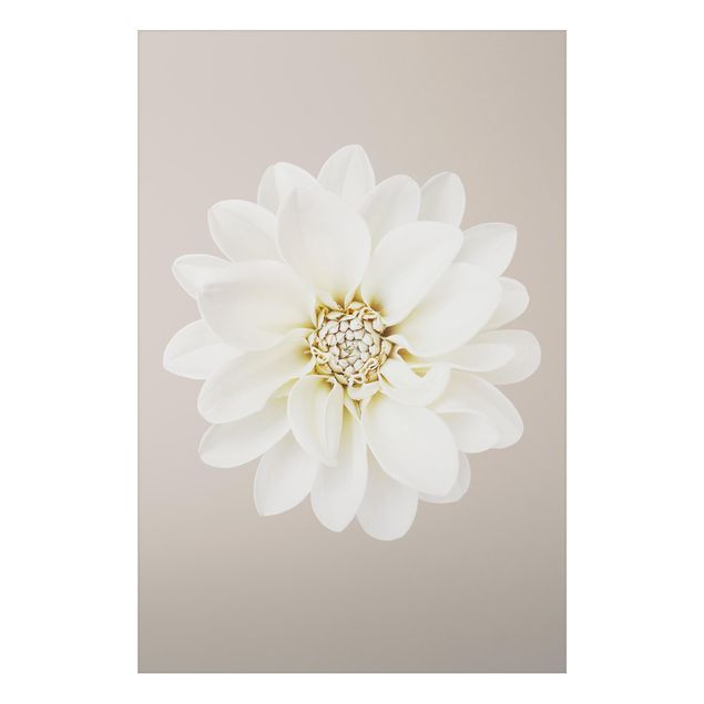 Tableaux modernes Dahlia White Taupe Pastel Centered