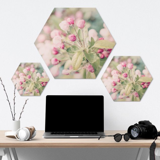 Tableau hexagon Apple Blossom Bokeh Light Pink