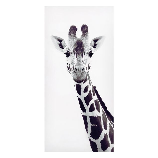Tableau girafe Portrait de girafe en noir et blanc