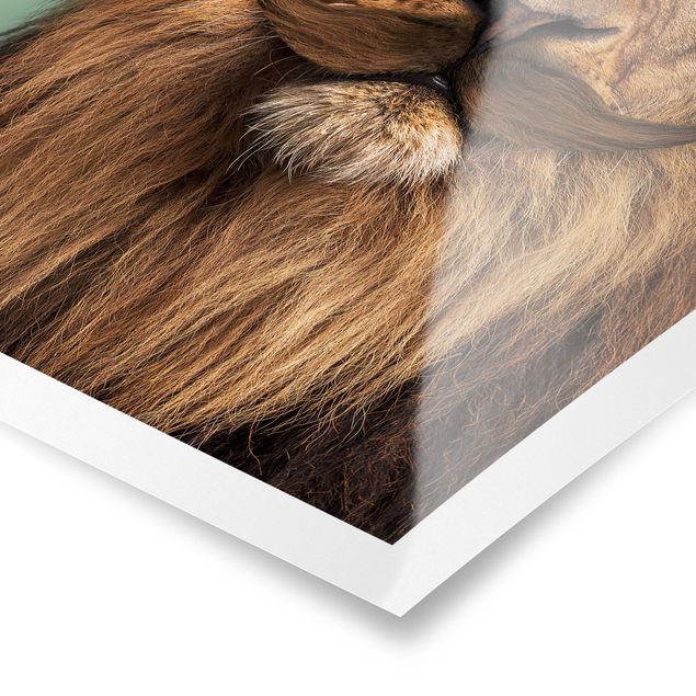 Poster animaux Lion avec Barbe