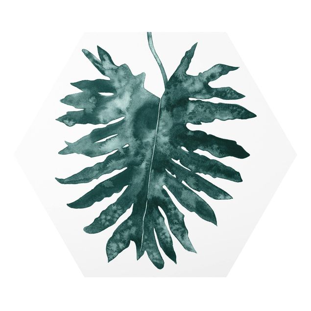 Tableaux forex Emerald Philodendron Bipinnatifidum