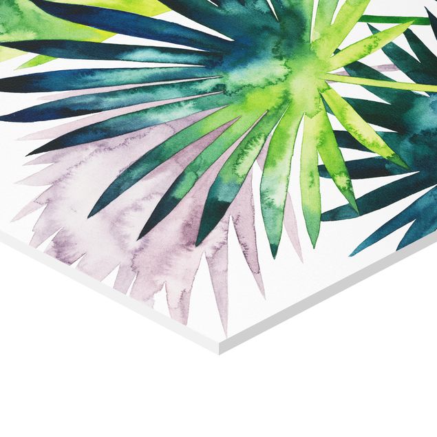 Tableau hexagonal Feuillage exotique - Fan Palm