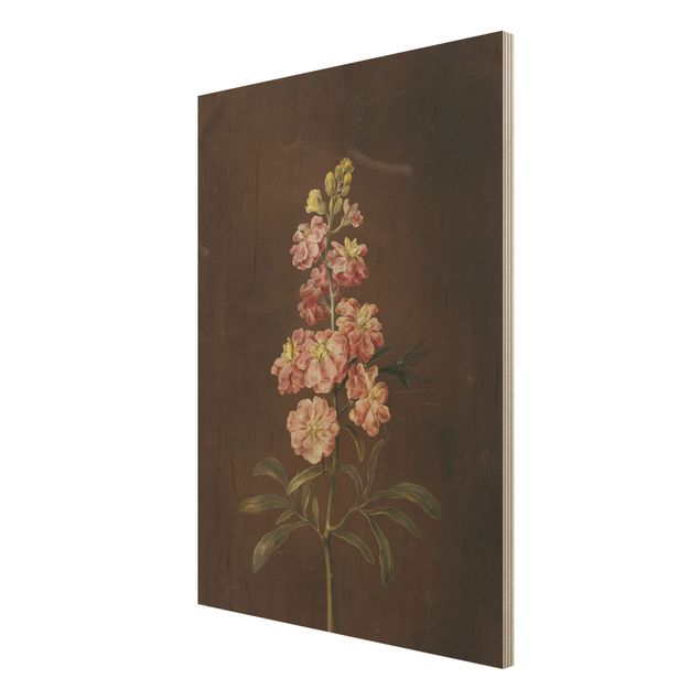 Tableaux en bois avec fleurs Barbara Regina Dietzsch - Une giroflée rose pâle