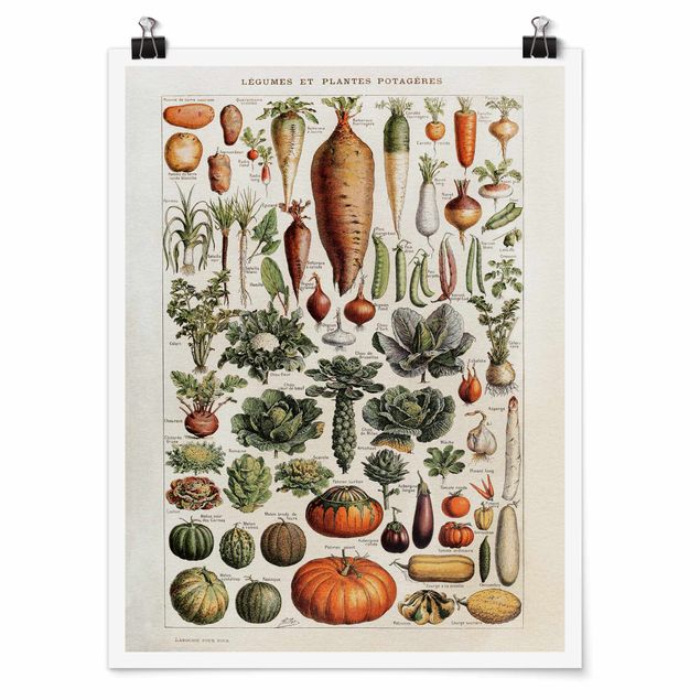 Poster retro Tableau Vintage Légumes
