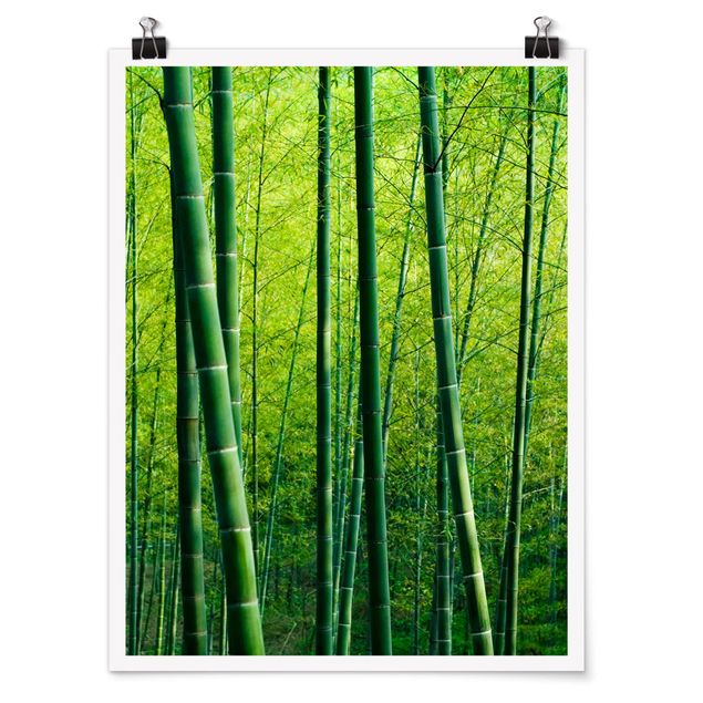 Tableau zen bambou Forêt de bambous