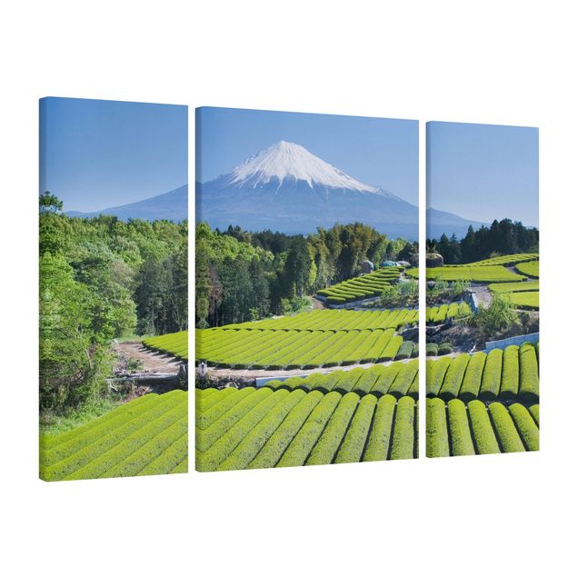 Tableau montagne Champs de thé devant le Fuji