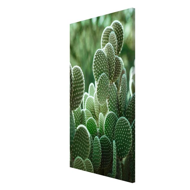 Tableaux modernes Cactus