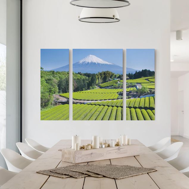 Tableau paysages Champs de thé devant le Fuji
