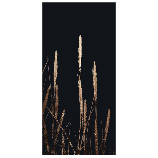 Panneau de séparation - Graphical Plant World - Golden Reed